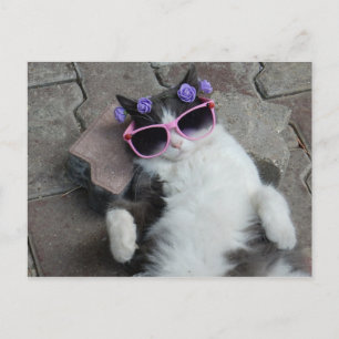 Feline Diva Briefkaart