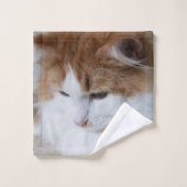 (Feline Fancy) Contemplation Kitty : Photo Cat (Gant de toilette)
