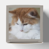 (Feline Fancy) Kat Overpeinzing: Kat Foto Bedankdoosjes (Bovenkant)