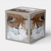 (Feline Fancy) Kat Overpeinzing: Kat Foto Bedankdoosjes (Achterkant)