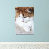 (Feline Fancy) Kat Overpeinzing: Kat Foto Canvas Afdruk (Insitu (Houten vloer))