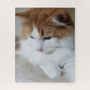 (Feline Fancy) Kat Overpeinzing: Kat Foto Legpuzzel