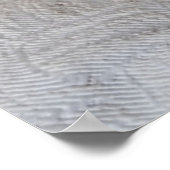 (Feline Fancy) Kat Overpeinzing: Kat Foto Poster (Hoek)