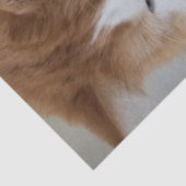 (Feline Fancy) Kat Overpeinzing: Kat Foto Tissuepapier (Detail)