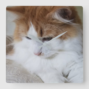 (Feline Fancy) Kat Overpeinzing: Kat Foto Vierkante Klok