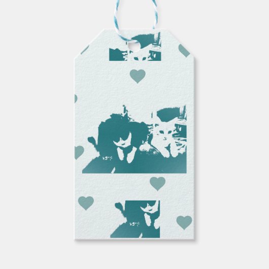 Feline Friends. Adorable Kitten Duo. Cadeaulabel (Voorkant)