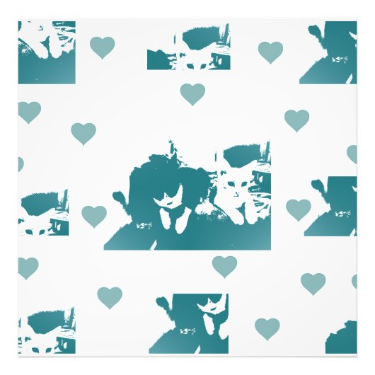 Feline Friends. Adorable Kitten Duo. Foto Afdruk (Voorkant)