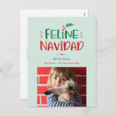Feline Navidad Pet Christmas Carte postale (Devant / Derrière)