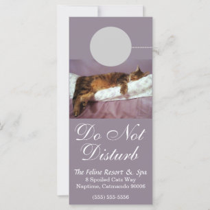 Feline Resort Ne Dérangez Pas La Carte Rack Person