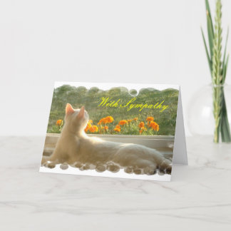 Feline Sympathy Card Kaart