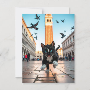 Felini vs. Pigeons: een Venetiaanse achtervolging Briefkaart