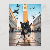 Felini vs. Pigeons: een Venetiaanse achtervolging Briefkaart (Voorkant)