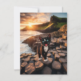 Felini's Ierse avontuur - De Giant's Causeway Briefkaart