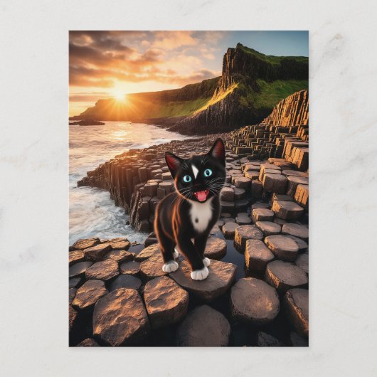Felini's Ierse avontuur - De Giant's Causeway Briefkaart (Voorkant)