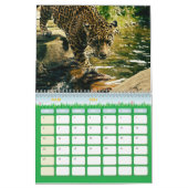 Felins kalender (Mar 2026)