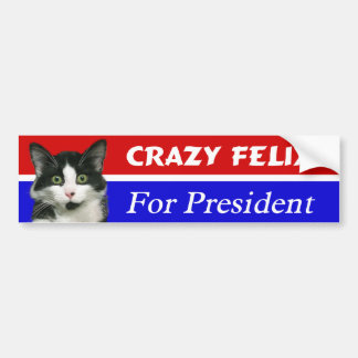 Felix de kat voor de Bumpersticker van het Preside