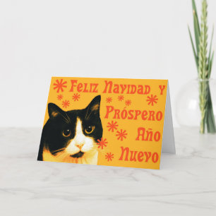 Felix Navidad Feestdagen Kaart
