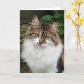 Felix op Nadenkende Wijze Kaart (Gele Bloem)