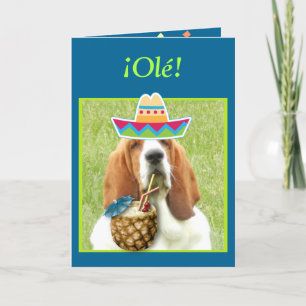 "¡ Feliz Cinco De Mayo !" Carte w/Basset et