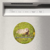 Feliz Groundhog Day ! aimant (In Situ (Lave-vaisselle))