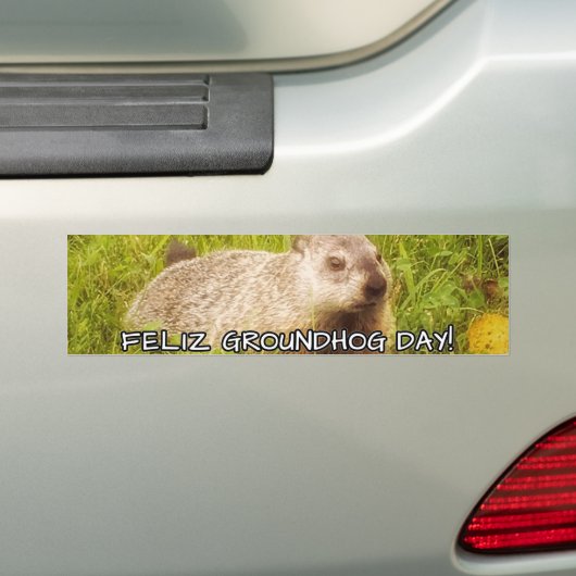 Feliz Groundhog Day! autocollant pare-chocs (En voiture)