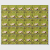 Feliz Jour de la Marmotte ! papier cadeau (Plat)