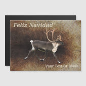 Feliz Navidad - Bull Cariou (rendier) (Voorkant / Achterkant)