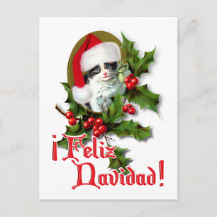 Feliz Navidad - Kerstkeuken Feestdagenkaart