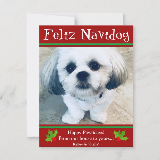 Feliz Navidog Chien Noël Carte photo amusant (Devant)
