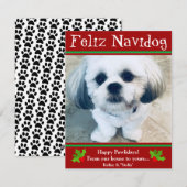 Feliz Navidog Chien Noël Carte photo amusant (Devant / Derrière)