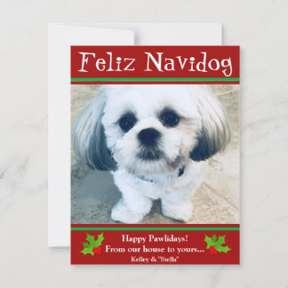 Feliz Navidog Chien Noël Carte photo amusant