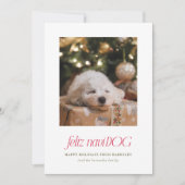 Feliz NaviDog Punny Pet Photo Carte de Noël (Devant)