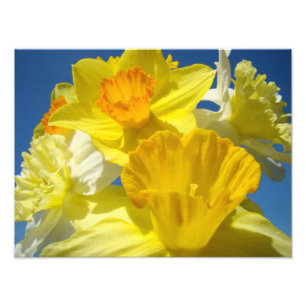 Felle gele narcis bloemen fotografie afdrukken foto afdruk