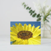 Felle Gele Zonnebloem ansichtkaarten Blauwe Lucht Briefkaart (Staand voorkant)