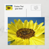 Felle Gele Zonnebloem ansichtkaarten Blauwe Lucht Briefkaart (Voorkant / Achterkant)
