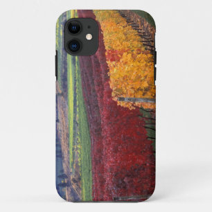 Felle rode en gele herfstkleuren op Gehring iPhone 11 Hoesje