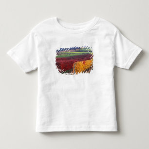 Felle rode en gele herfstkleuren op Gehring Kinder Shirts
