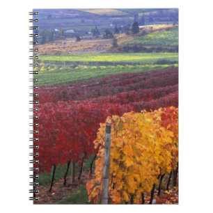 Felle rode en gele herfstkleuren op Gehring Notitieboek