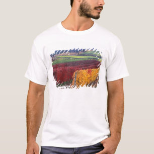 Felle rode en gele herfstkleuren op Gehring T-shirt