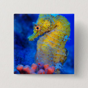Felle zeepaard   Hippocampus Vierkante Button 5,1 Cm