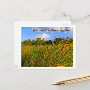 Felle zomerse wandeling wilde kattestaarten ansich briefkaart