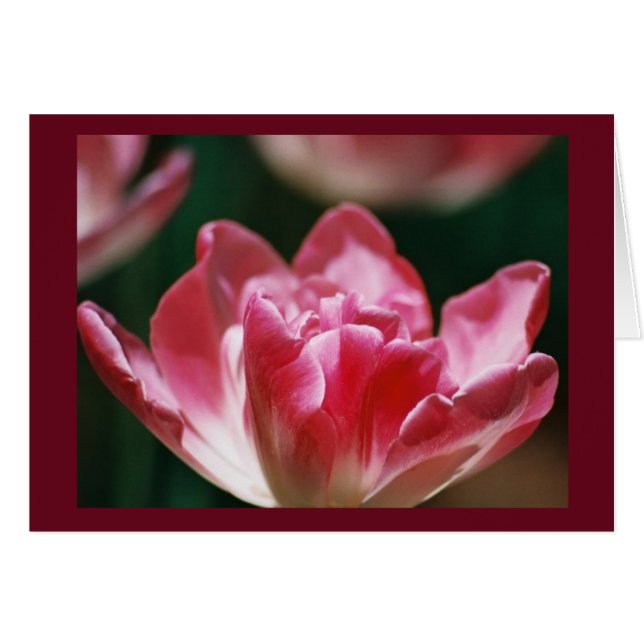 "Fellowship on the path" (Voorkant Horizontaal)