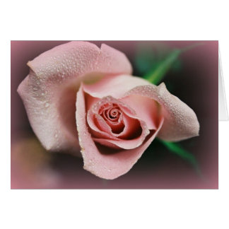 "Fellowship on the path"