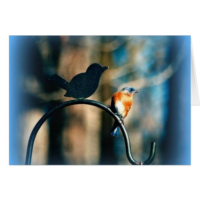 "Fellowship on the path" (Voorkant Horizontaal)