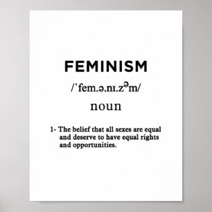 feminisme definitie horizontaal poster
