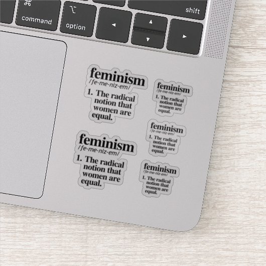 Feminisme Definitie Sticker (Detail)