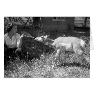 Femme allaitant une antilope
