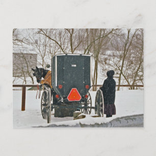 Femme Amish avec Cheval et Buggy Carte Postale