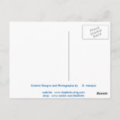 FEMME DANS LA CARTE POSTALE PENSÉE (Dos)