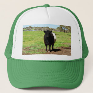 Femme Vache Galloway Dans Le Pays, Casquette De Ca
